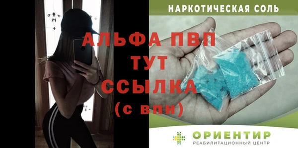 гидра Алексин