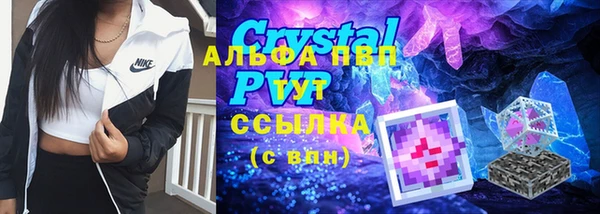гидра Алексин