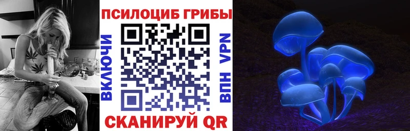 купить закладку  Кимры  Псилоцибиновые грибы MAGIC MUSHROOMS 